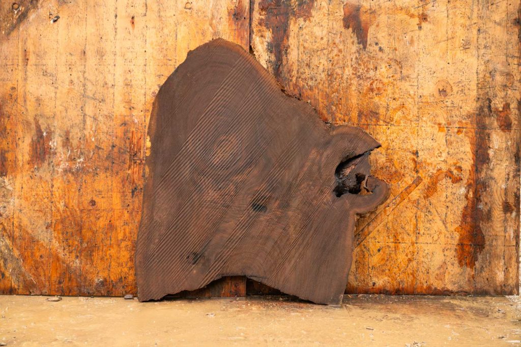 Black Walnut Cookie slab at warehouse