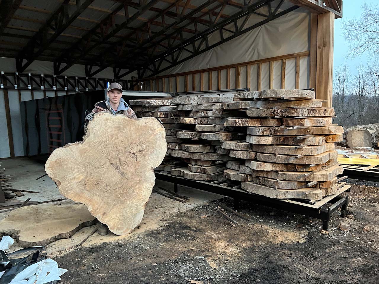 Live Edge wood