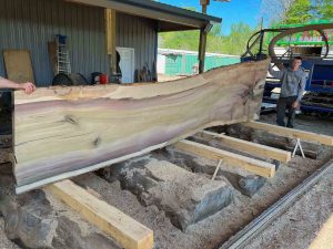 rainbow poplar live edge wood